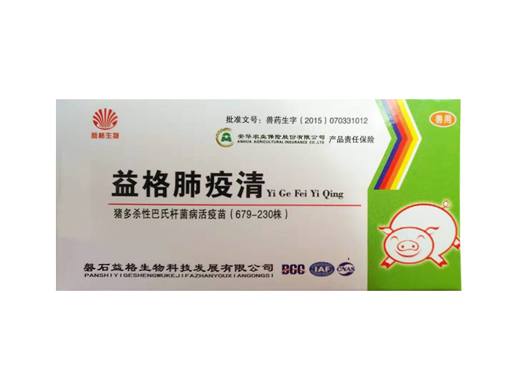 豬瘟疫苗在什么情況下打？